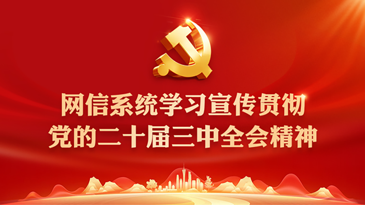 《网信系统学习宣传贯彻党的二十届三中全会精神》专题